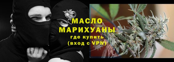 гидра Верхний Тагил