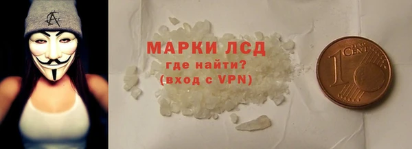 гидра Верхний Тагил
