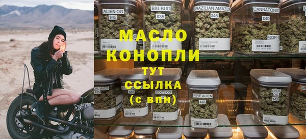 гидра Верхний Тагил