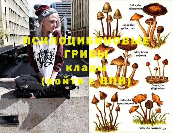 MDMA Premium VHQ Верхнеуральск