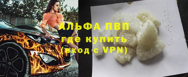 гидра Верхний Тагил