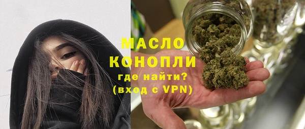 гидра Верхний Тагил