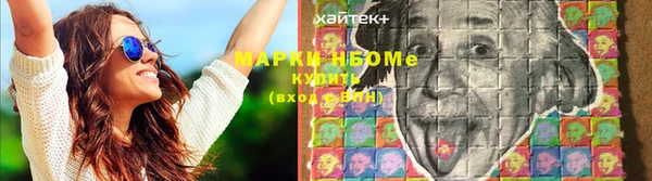 гидра Верхний Тагил
