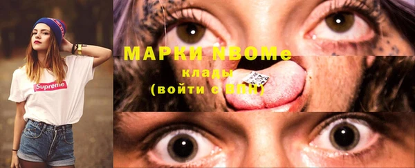 гидра Верхний Тагил