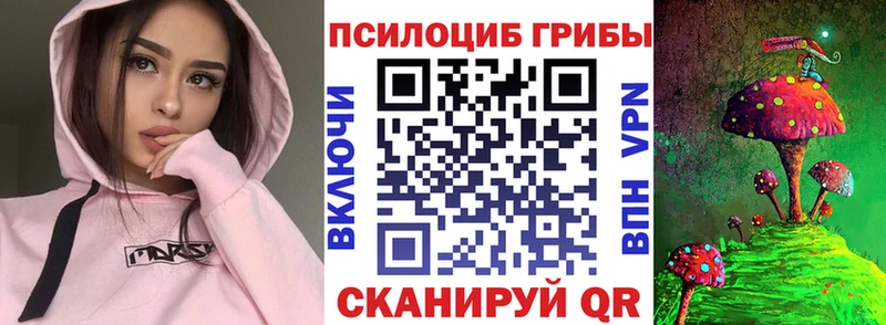 что такое наркотик  Дзержинск  Галлюциногенные грибы Cubensis 