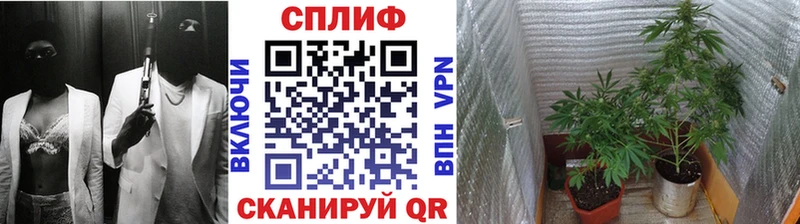 Конопля AK-47  Дзержинск 